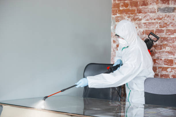 Best Attic Mold Removal  in North Chicago, IL